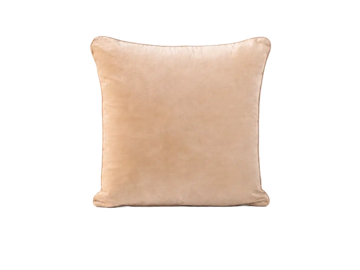Farrah Velvet Pillow