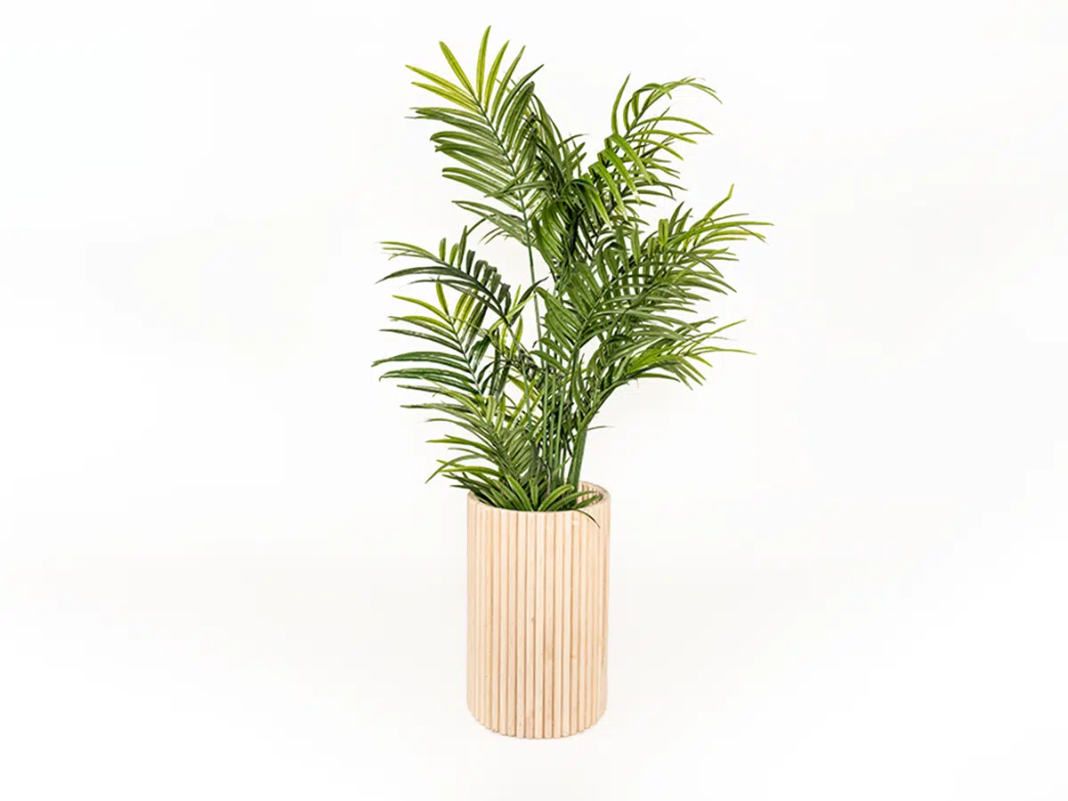 Wavelength Planter + Palm