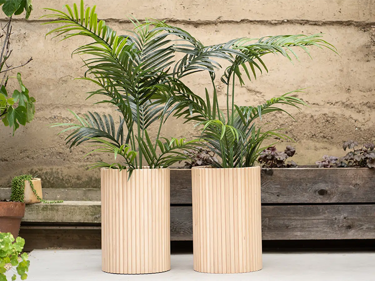 Wavelength Planter + Palm