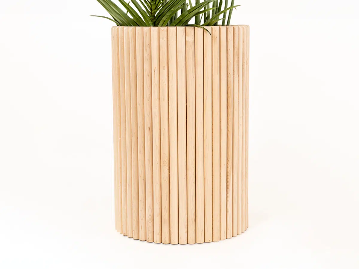 Wavelength Planter + Palm