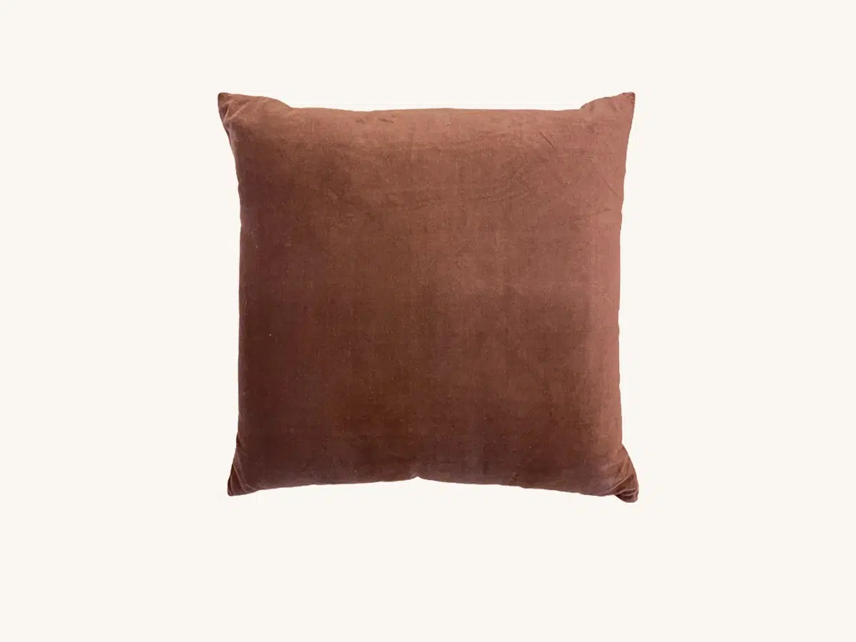 Clove Velvet Square Pillow