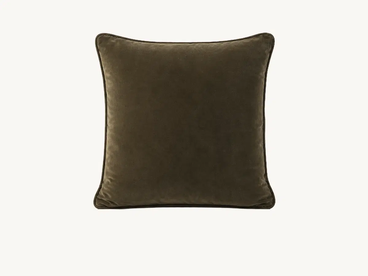 Oliver Velvet Pillows