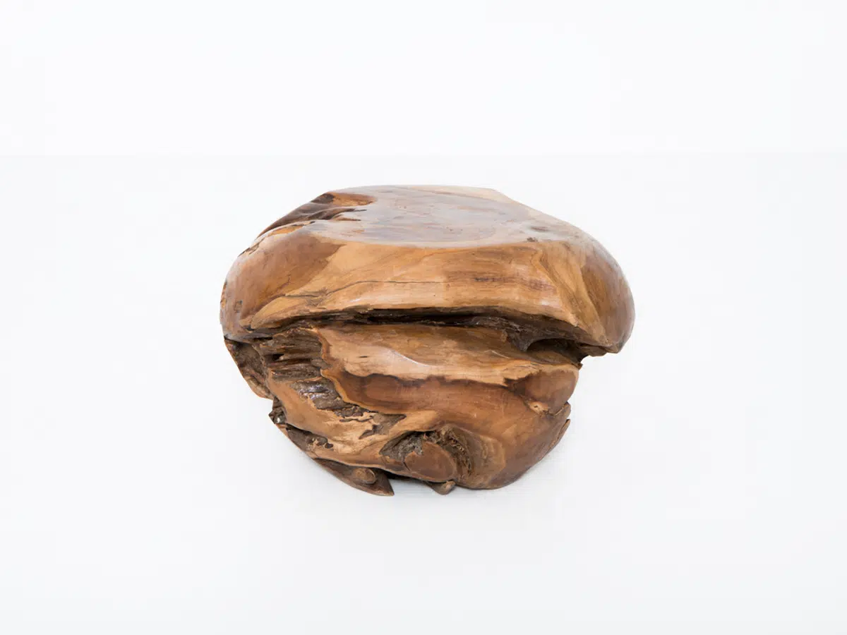 Root Side Table